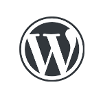 WordPress Plugin Development