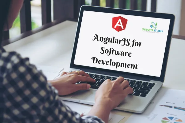 Svaapta Which Is The Most Important Framework For Software Development?
