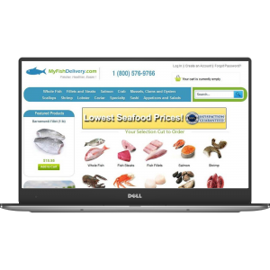 Portfolio My Fish Delivery